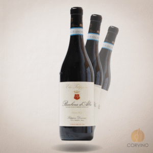 Barbera d'Alba 'Vigna Veja' - Elio Filippino