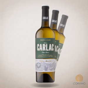 Bosc de Carlac Blanco - Costers Del Sió