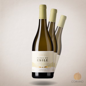Pasal de Esile Godello "Sobre Lias Finas" - Bodegas Gallegas